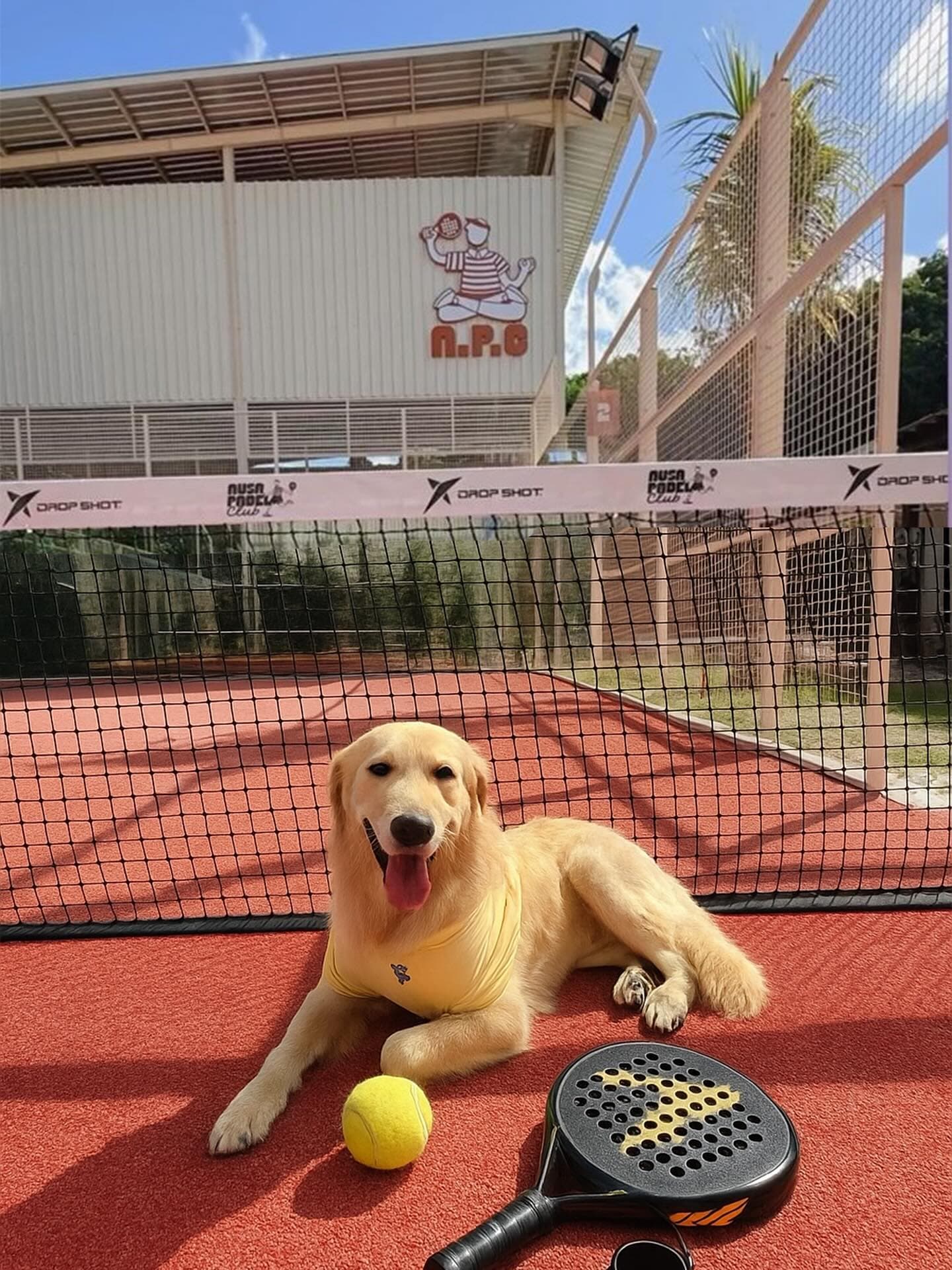 Nusa Padel Club